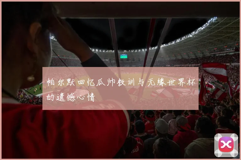 帕尔默回忆瓜帅教训与无缘世界杯的遗憾心情